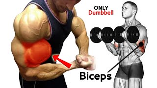 Biceps Workout At Home With Dumbbells [upl. by Bremen]