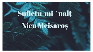 Sufletumi nalț  Nicu Meisaroș [upl. by Gino927]