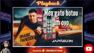 🎤PLAYBACK MEU GATO BOTOU UM OVO JAPÃOZIM🎤 [upl. by Viveca]