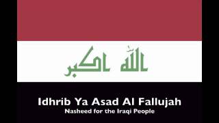 Idhrib Ya Asad Al Fallujah [upl. by Ynoep228]