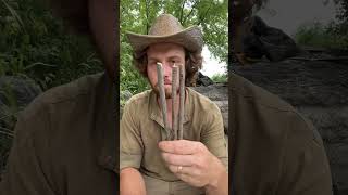 Primitive LiveCatch Trap  Figure 4 Trap survival outdoorskills primitivetechnology bushcraft [upl. by Hunt]