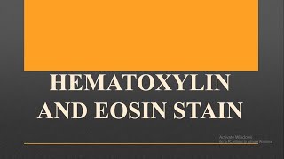 HAEMATOXYLIN AND EOSIN STAIN [upl. by Brey]