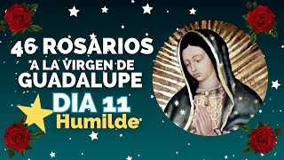 DIA 11⭐ Estrella Humilde 🌹46 Rosarios a la Virgen de Guadalupe Misterios Luminosos [upl. by Ellahcim799]