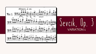 Sevcik Op 3 40 Variations  Variation 1 [upl. by Ijies97]