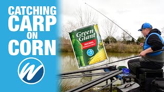 Catching Carp On Sweet Corn  Jamie Hughes  Heronbrook Fisheries [upl. by Thynne]