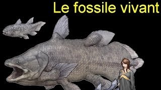 Le fossile vivant [upl. by Idhem]