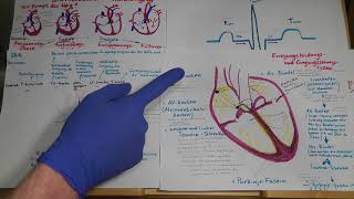 EKG Erregungsbildung amp leitung Herzmechanik Verstehen für Rettungssanitäter [upl. by Hildegarde]