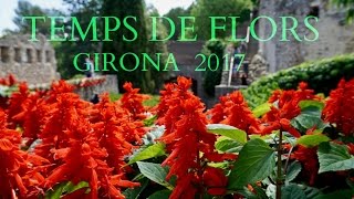 Girona Temps de Flors 2017  Noe and Carl [upl. by Alyled]