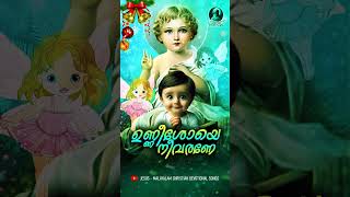 ഉണ്ണീശോയെ നീ വരണേ  bestmalayalamchristiandevotionalsongs christianalbumsongs infantjesussongs [upl. by Amasa]