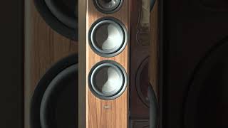 Polk Audio Reserve R700 [upl. by Driskill]