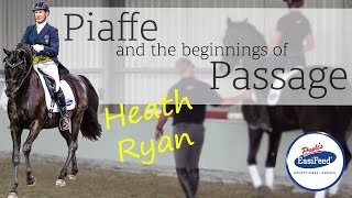 Piaffe and the beginnings of Passage training  Dressage with Heath Ryan [upl. by Eibber596]