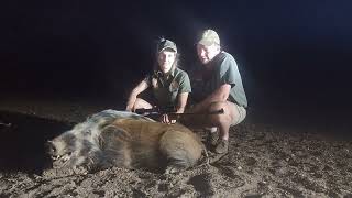 Night hunting Bushpig south africa hunting [upl. by Catt]