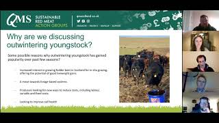 QMS Outwintering Webinar Getting to the root of outwintering youngstock [upl. by Eilyk]