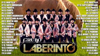 Los Mejores Corridos De Caballos De Laberinto  Grupo Laberinto Mix Puros Éxitos Corridos Caballos [upl. by Jovi739]