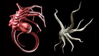 All Alien FACEHUGGER Species [upl. by Leonora]