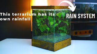 i made a terrarium rain garden in a glass tank  rainfall paludarium [upl. by Icnan]