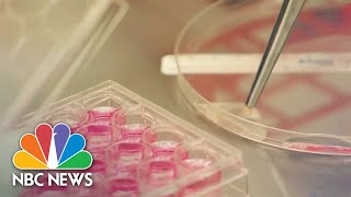 New Treatment Could Help Melanoma Patients [upl. by Aytac]