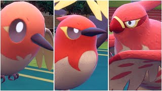 FULL FLETCHLING EVOLUTION TEAM Shiny Fletchling Fletchinder Talonflame Moveset Scarlet Violet [upl. by Retxed]