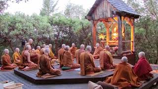 Pali Chanting In The Abhayagiri Buddhist Monastery  Theravada Buddhism [upl. by Azalea69]