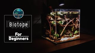 BiotopeBiotop Aquarium nano Setup Tutorial ideas Simple amp EasyThủy sinh biotopShinark and life [upl. by Nolaj]