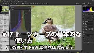 SILKYPIXでRAW現像をはじめよう 17 トーンカーブの基本的な使い方 [upl. by Panchito769]