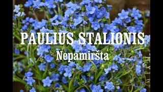 Paulius Stalionis  NEPAMIRŠTA [upl. by Aland]