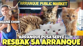 ANG PAGBABALIK SA ARRANQUE PET MARKET  PUSA SERYE  JUNE 27 2024 [upl. by Lipman]