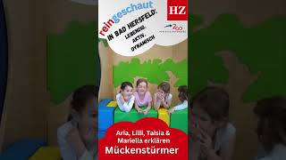 Reingeschaut in Bad Hersfeld  Mückenstürmer [upl. by Assenaj]