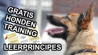 Leerprincipes Hoe leren honden Theorie [upl. by Nirat]