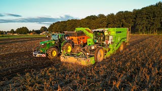 Aardappel oogst met AVR puma 3  John Deere  Dezeure hooglossers  Potato Harvest 2024 [upl. by Greenebaum]