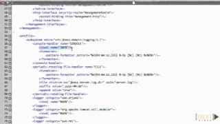 JBoss EAP Tutorial Setting the Logging Verbosity for the Entire Server  packtpubcom [upl. by Osmond702]