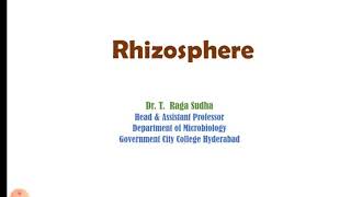 Rhizosphere [upl. by Anihsat490]