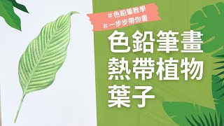 色鉛筆畫熱帶植物葉子｜一步步帶你畫 [upl. by Ybeloc483]