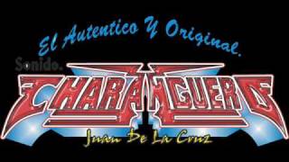 SONIDO CHARANGUERO EN CHALCO  CUMBIA PANORAMICAwmv [upl. by Jannery24]