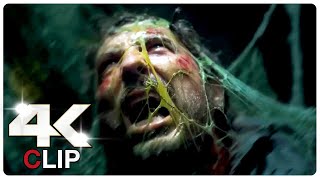 Trapped In A Giant Spiders Web Scene  STING NEW 2024 Movie CLIP 4K [upl. by Enigroeg]