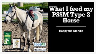 What I feed my PSSM Type 2 Horse  Happy the Standie [upl. by Stoeber249]