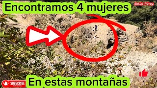 4 mujeres en estas montañas de california ay que tener cuidado mi jente porque casi siempre ay puma [upl. by Walke520]