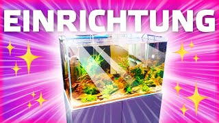 60cm AQUARIUM EINRICHTUNG  Aquascaping ideas [upl. by Seaman]