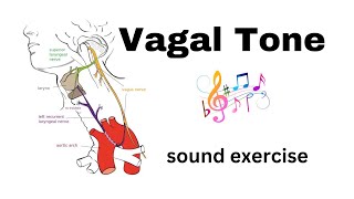 Healthy Vagus Nerve with a Sound Exercise [upl. by Akere]