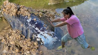 This girl who lives on pearls has harvested a large amount of precious pearls this time [upl. by Handy]