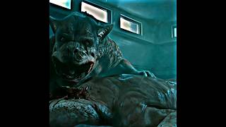 Monster Dog😈 save Number Four🔥iamnumberfour marvel marvelstudios [upl. by Faustena485]