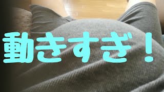 胎動 予定日 11月8日 帝王切開 双子 男女 twins fetal movement cesarean section [upl. by Deirdre516]