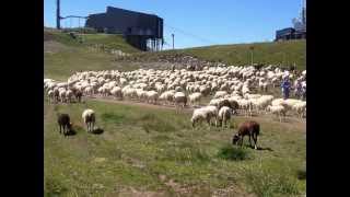 Le Plomb du Cantal [upl. by Elraet909]