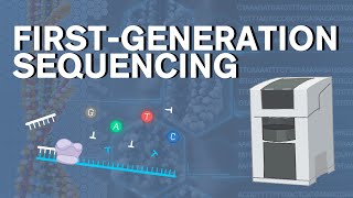 First Generation DNA sequencing [upl. by Uht]