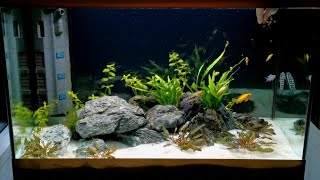 Planted Cichlid Community Tank Setup  TANGANYIKAN CICHLIDS  Oase Styleline 125 [upl. by Ocsinarf398]