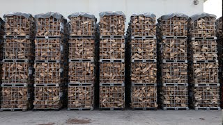 The process of massproducing 8000 tons of wood firewood per year No 1 firewood factory in Korea [upl. by Denison]