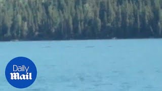 Man captures footage of unknown creature in Chinese lake [upl. by Luehrmann]