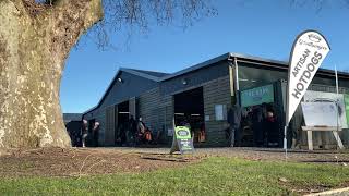 Where is Hamilton Farmers Market New Zealand  Find local food at Claudelands Barn [upl. by Acisseg663]