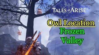 Owl Location Frozen Valley Tales of Arise [upl. by Holbrooke501]