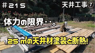 ≪週末DIYから始める移住への道≫ ＃215 25㎡の天井断熱材施工と塗装で‥アラフィフの体力が限界を迎えました。 天井工事７ アラフィフ開拓≫ [upl. by Sisto]